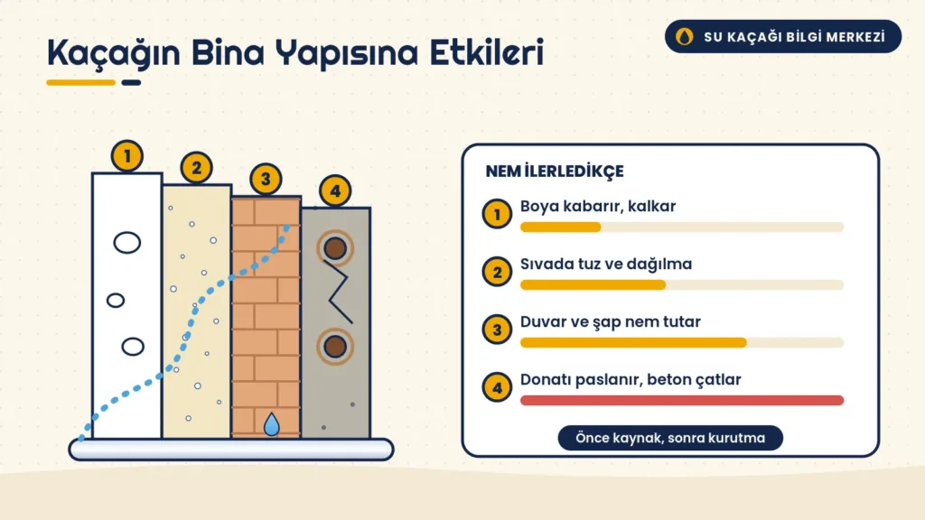 Boya, sıva, tuğla ve betonarme katmanlarında su kaçağının ilerleyişini ve donatı paslanmasını gösteren kesit infografik