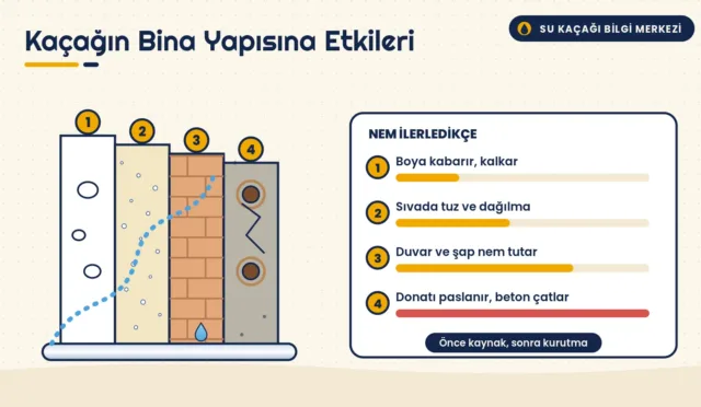 Boya, sıva, tuğla ve betonarme katmanlarında su kaçağının ilerleyişini ve donatı paslanmasını gösteren kesit infografik
